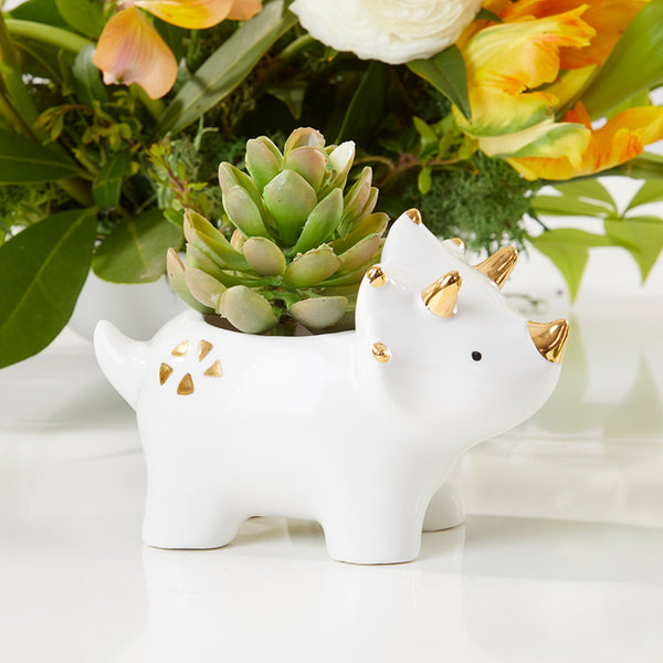 Ceramic Dinosaur Planter -Small