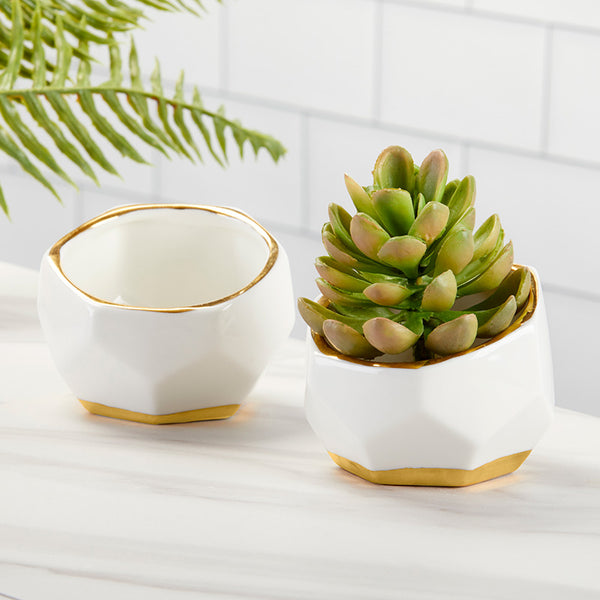 Small Geometric Ceramic Planter - Set of 2