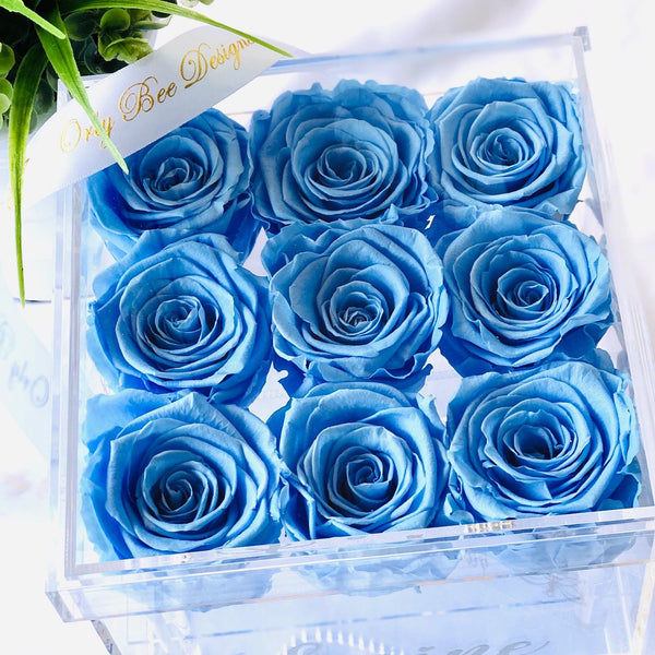Preserved Roses in Clear Jewelry Rose Box - 9 Long Lasting Roses