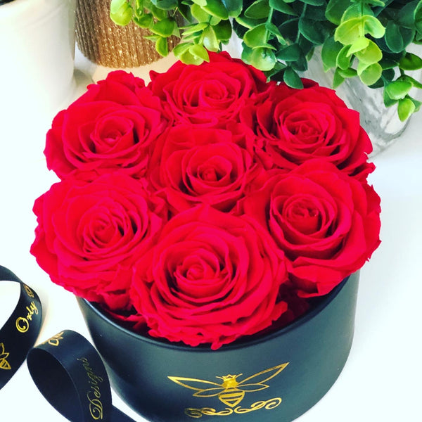 Small Round Rose Box -Black