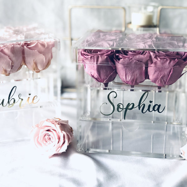 Preserved Roses in Clear Jewelry Rose Box - 9 Long Lasting Roses