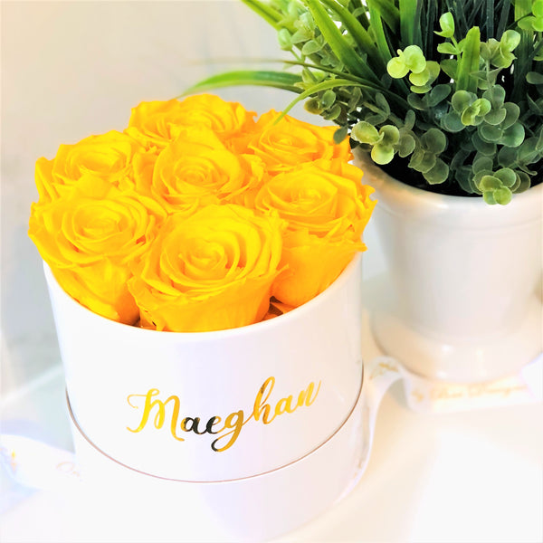 Small Round Rose Box -White