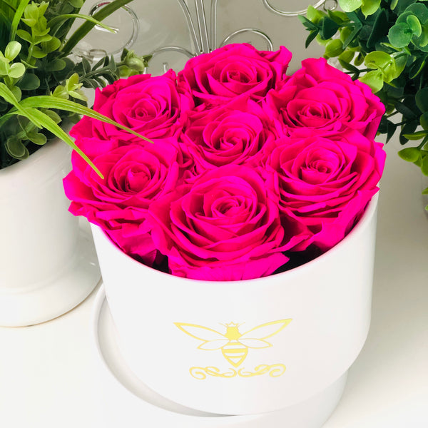 Small Round Rose Box -White