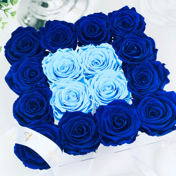 Preserved Roses in Clear Jewelry Rose Box - 16 Long Lasting Roses