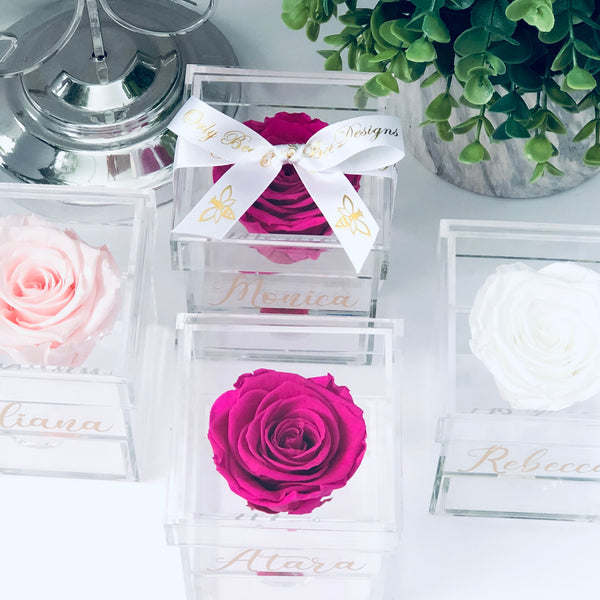 Preserved Rose in Jewelry Box