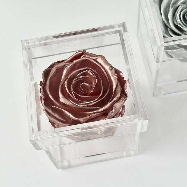 Metallic Rose inside a Personalized Clear Box