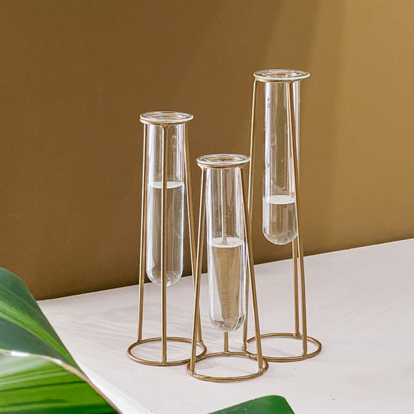 Glass Tube Flower Vase - Set of 3